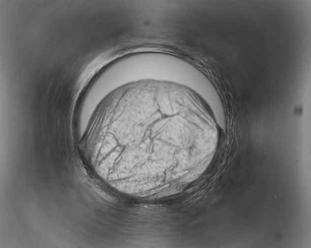 X0000115080296200912081218