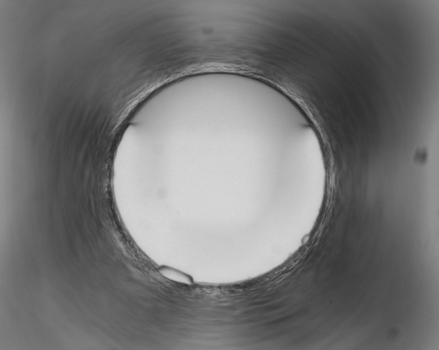 X0000115080297200912081218