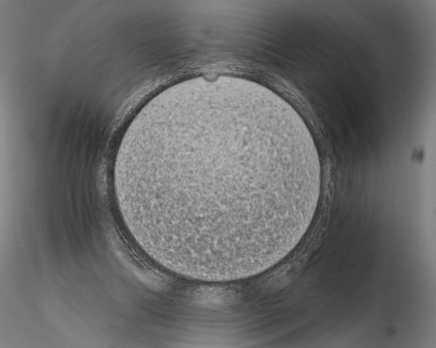 X0000115080298200912081218