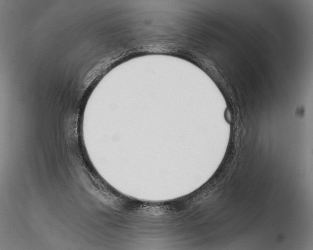 X0000115080299200912081218