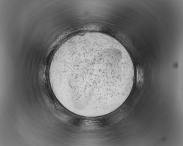 X0000115080300200912081218