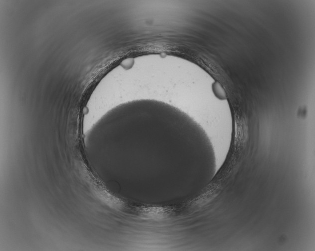 X0000115080301200912081218