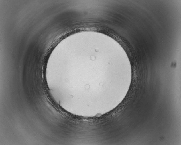 X0000115080302200912081218