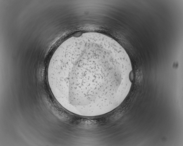 X0000115080304200912081218