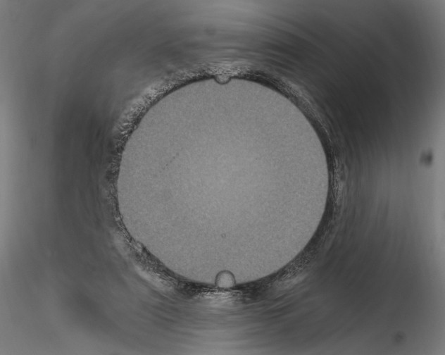 X0000115080307200912081218