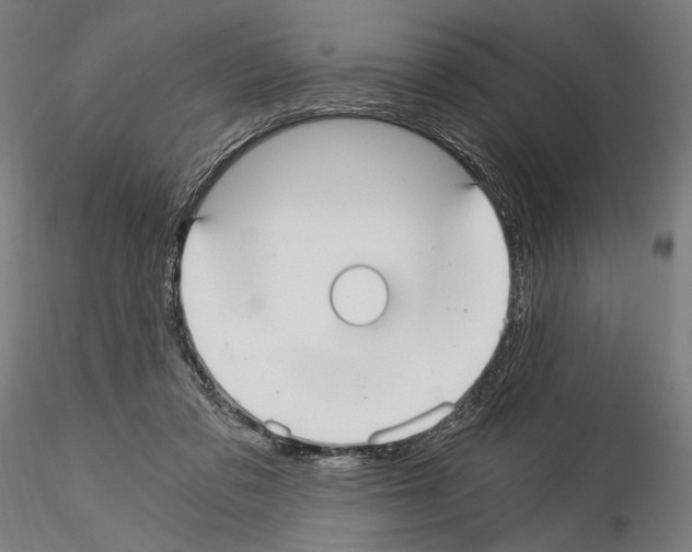 X0000115080309200912081218