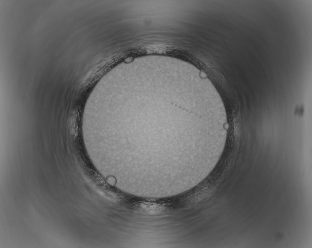 X0000115080311200912081218