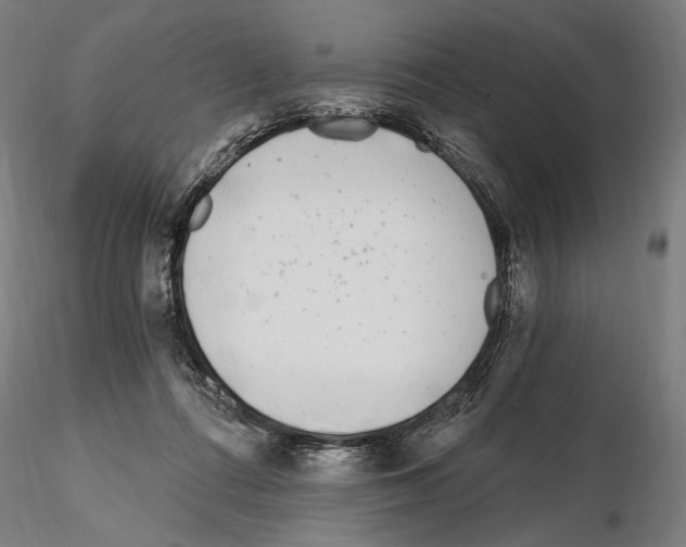 X0000115080312200912081218