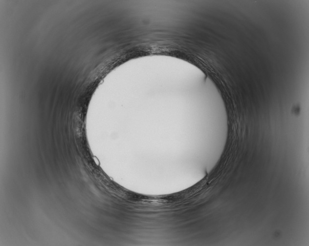 X0000115080316200912081218