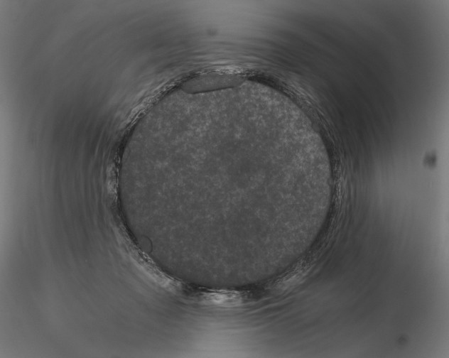 X0000115080317200912081218