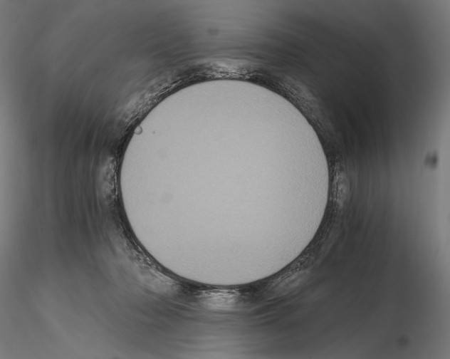 X0000115080318200912081218