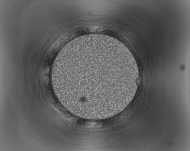 X0000115080319200912081218