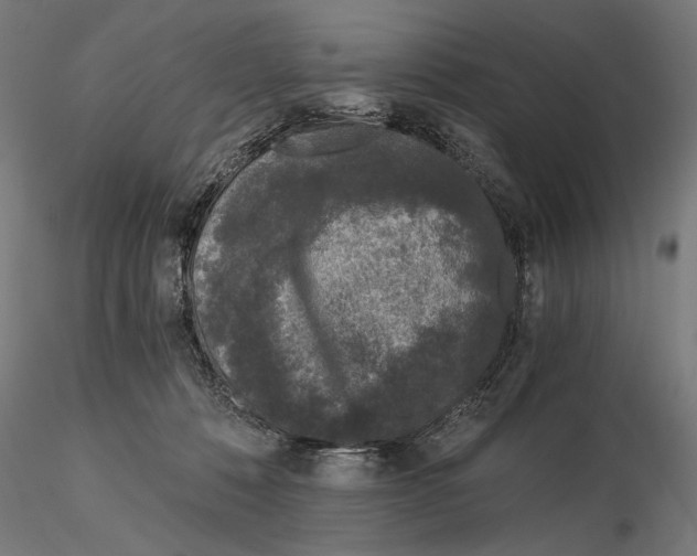 X0000115080320200912081218