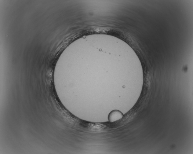 X0000115080321200912081217