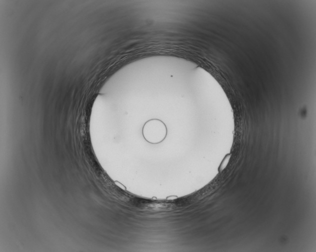 X0000115080323200912081217