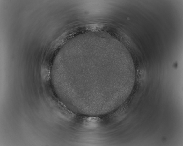 X0000115080324200912081217