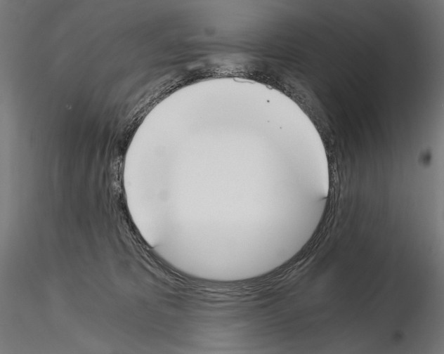 X0000115080325200912081217