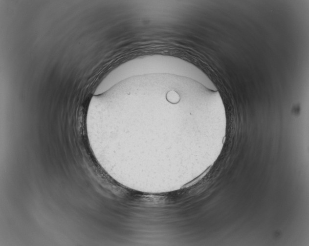 X0000115080328200912081217