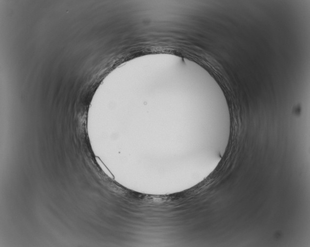 X0000115080329200912081217