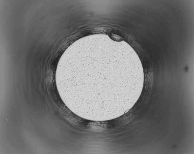 X0000115080331200912081217