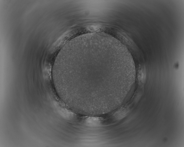 X0000115080332200912081217