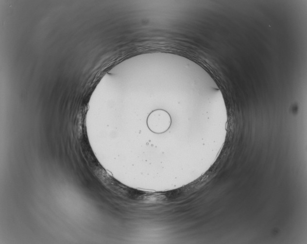 X0000115080333200912081217