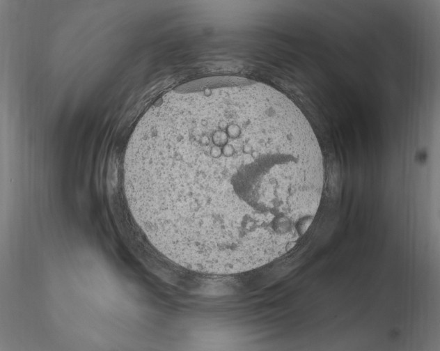 X0000115080334200912081217