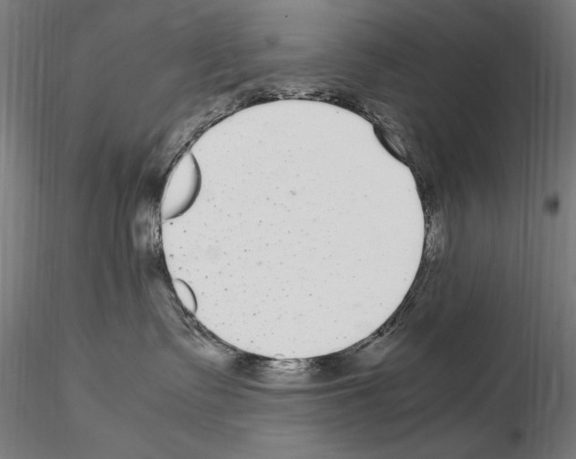 X0000115080335200912081217