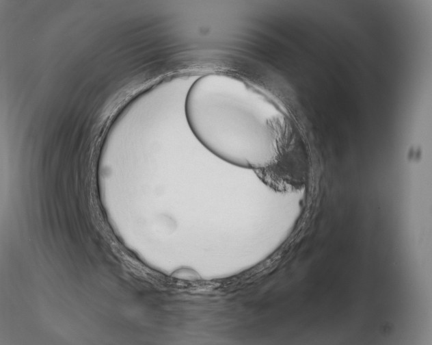 X0000115080337200912081216