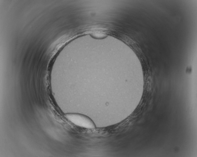 X0000115080338200912081216