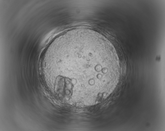 X0000115080339200912081216