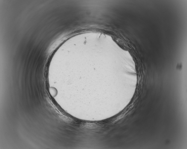 X0000115080341200912081216