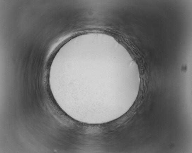 X0000115080342200912081217