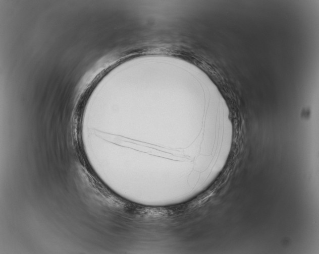 X0000115080343200912081217