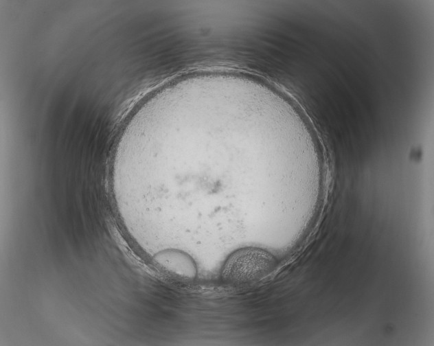 X0000115080345200912081217