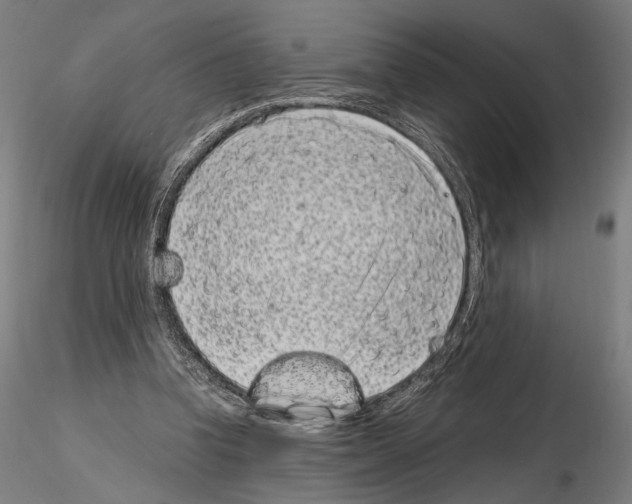 X0000115080346200912081217