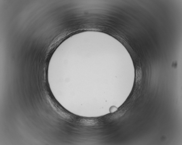 X0000115080349200912081217