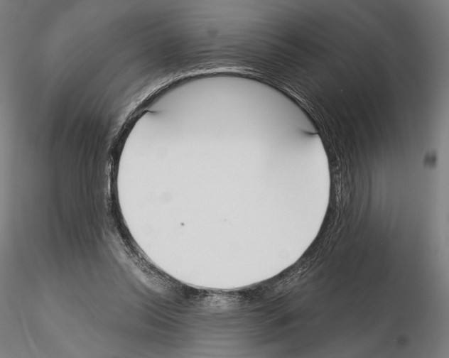 X0000115080350200912081217