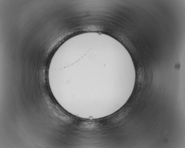 X0000115080351200912081217