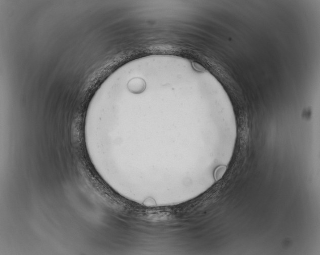 X0000115080353200912081217