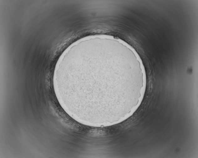 X0000115080354200912081217