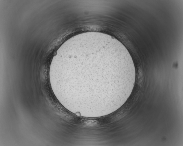 X0000115080355200912081217