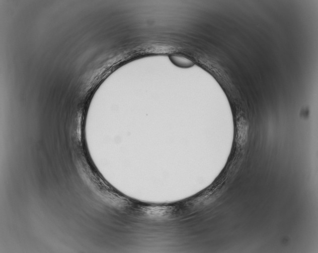 X0000115080358200912081217