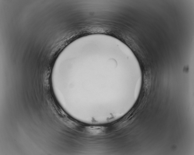 X0000115080359200912081217