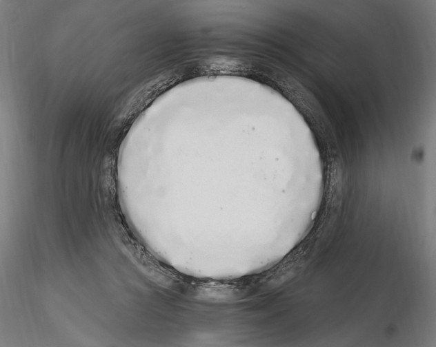 X0000115080361200912081217