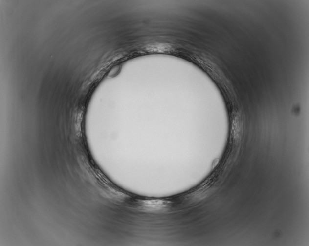 X0000115080363200912081217