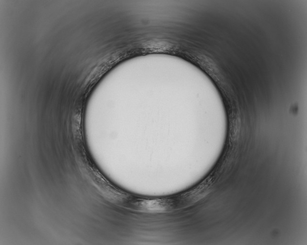 X0000115080365200912081217