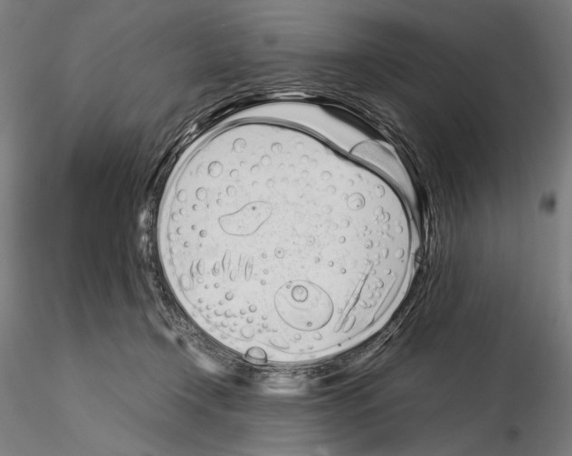 X0000115080366200912081217