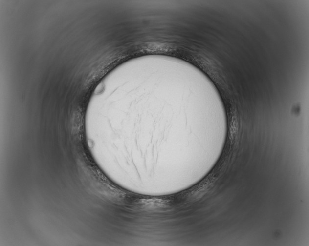 X0000115080367200912081217