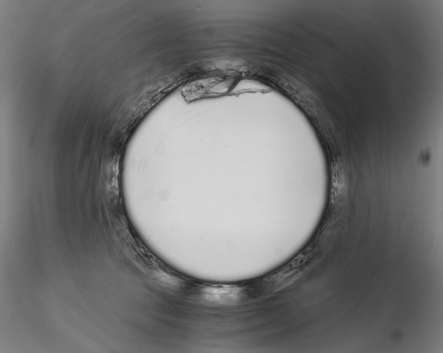 X0000115080369200912081217